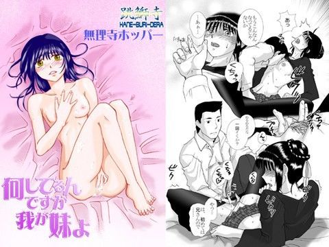 [処女 貧乳・微乳]何してるんですか我が妹よ エロ漫画同人誌