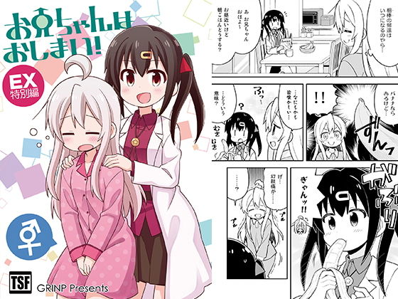 [全年齢向け 性転換・女体化]お兄ちゃんはおしまい！特別編 エロ漫画同人誌