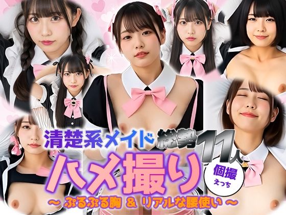 [メイド 貧乳・微乳]【動画】清楚系メイド11人と密着ハメ撮り｜ぷるぷる胸＆本気腰 エロ漫画同人誌